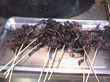 Scorpions à la broche