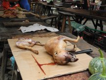 Une tranche de chien
