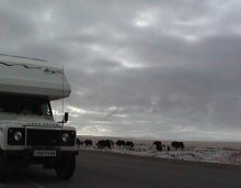 Vers le Tibet - 5000m