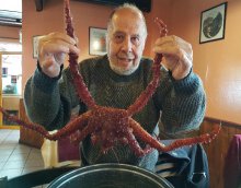 Crabe USHUAIA